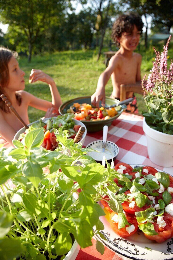 Salads on picnic table