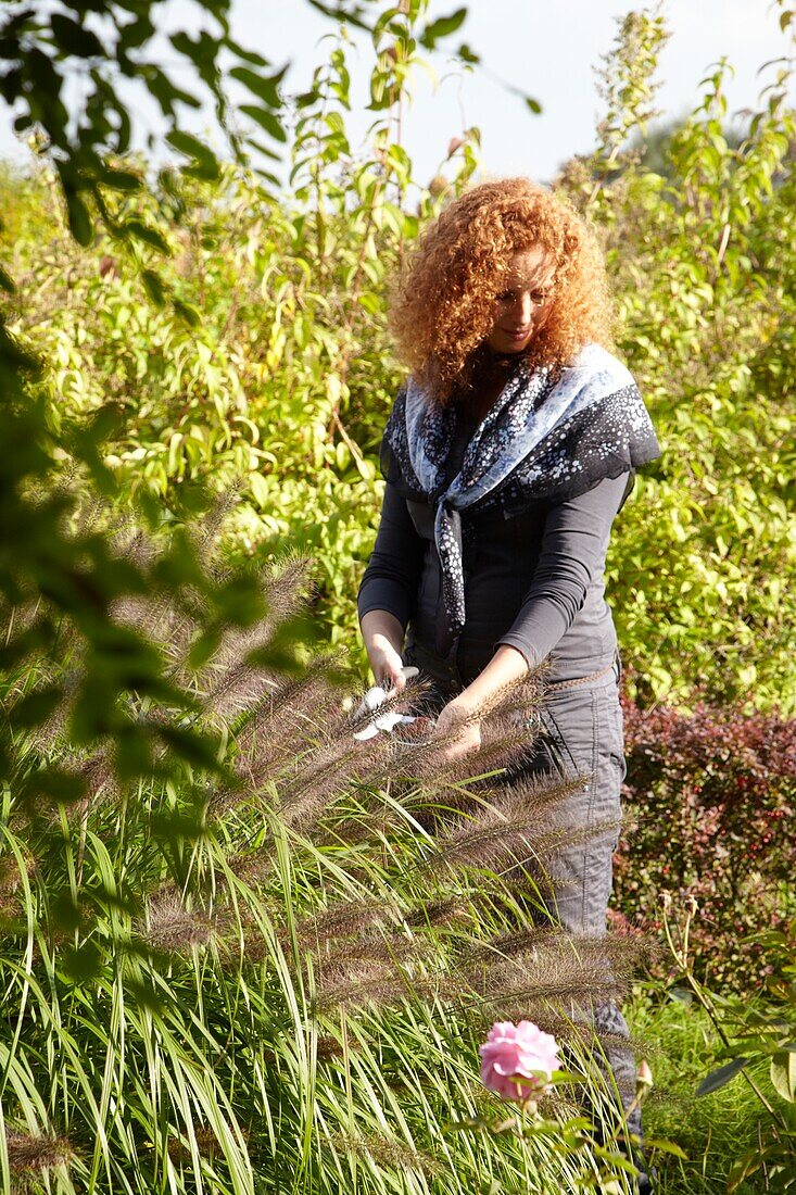 Woman trimming ornamental grass