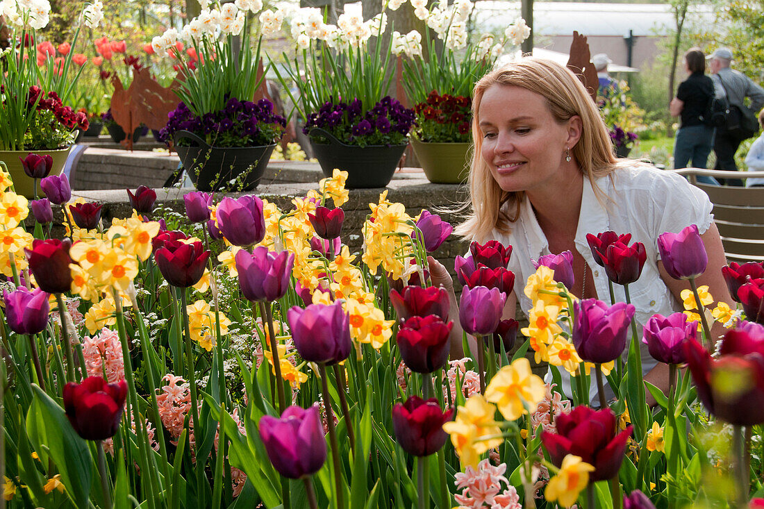 Mixed spring border