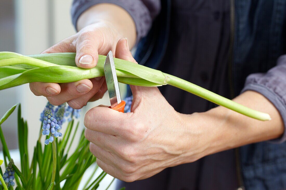 Making floral spring arrangement