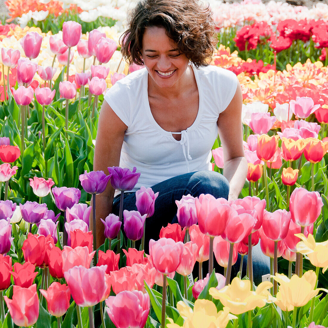 Frau im Tulpenfeld