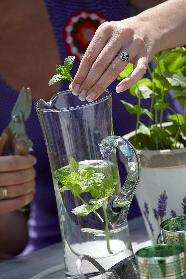 Woman cutting mint leaves