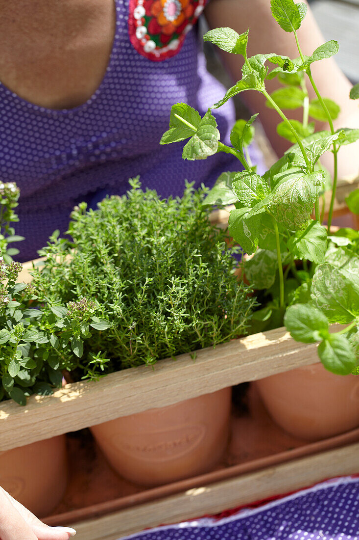 Woman gardening with herbs