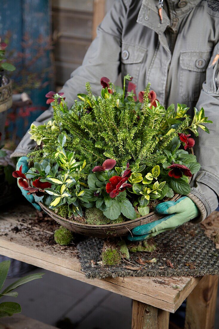 Winter container