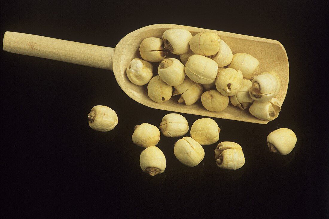 Lotus kernels on wooden scoop, black background