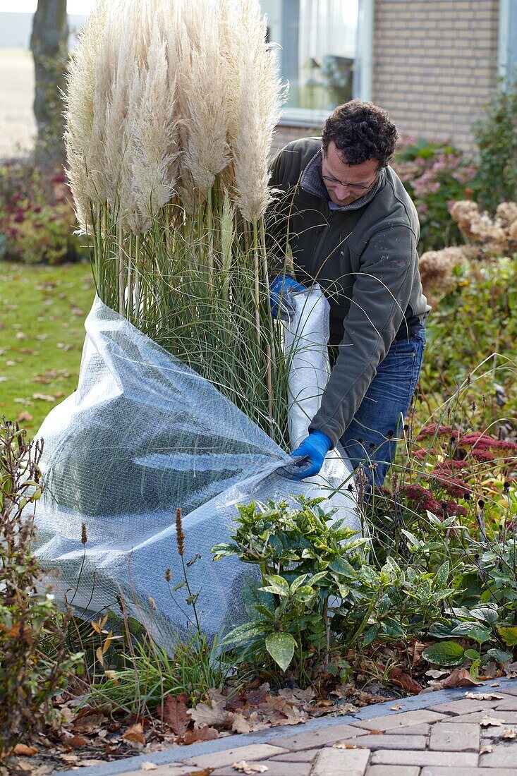 Winter plant protection