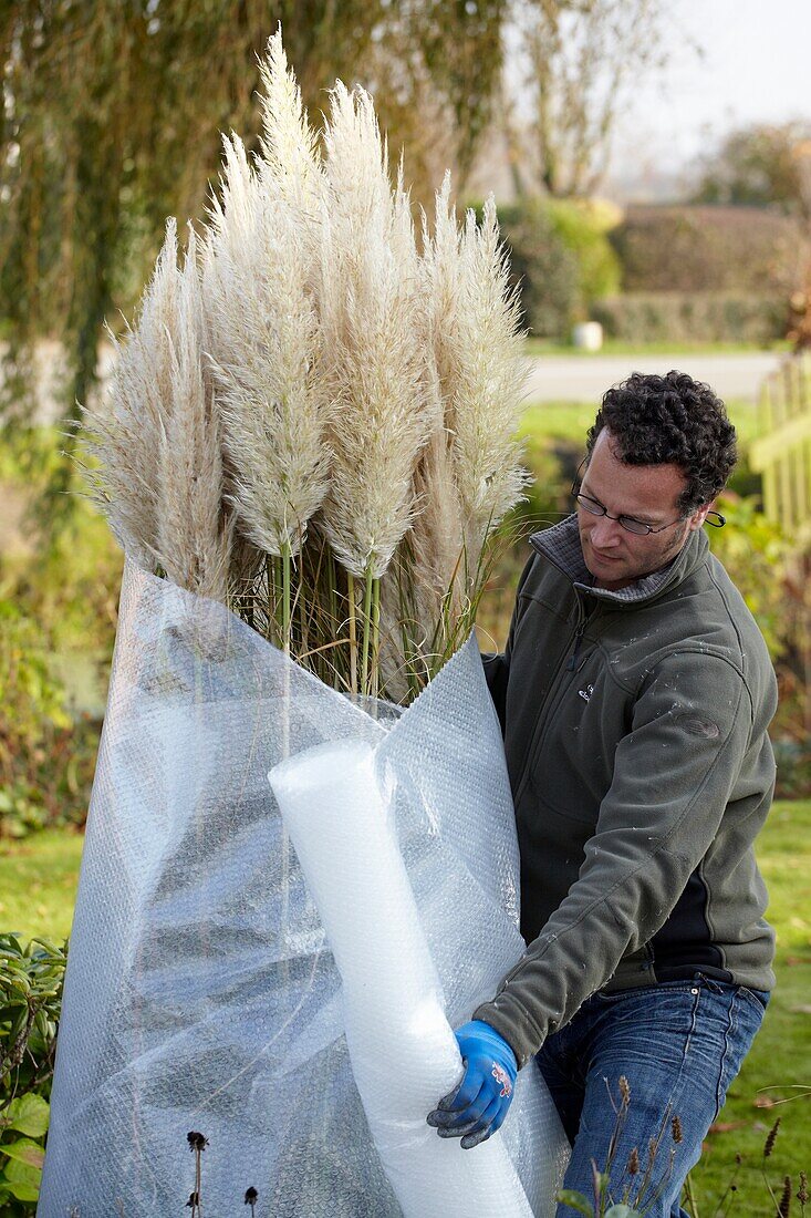 Winterlicher Pflanzenschutz