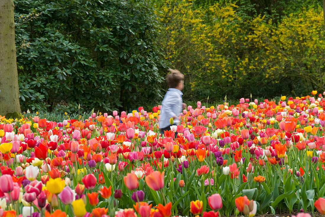 Spring border