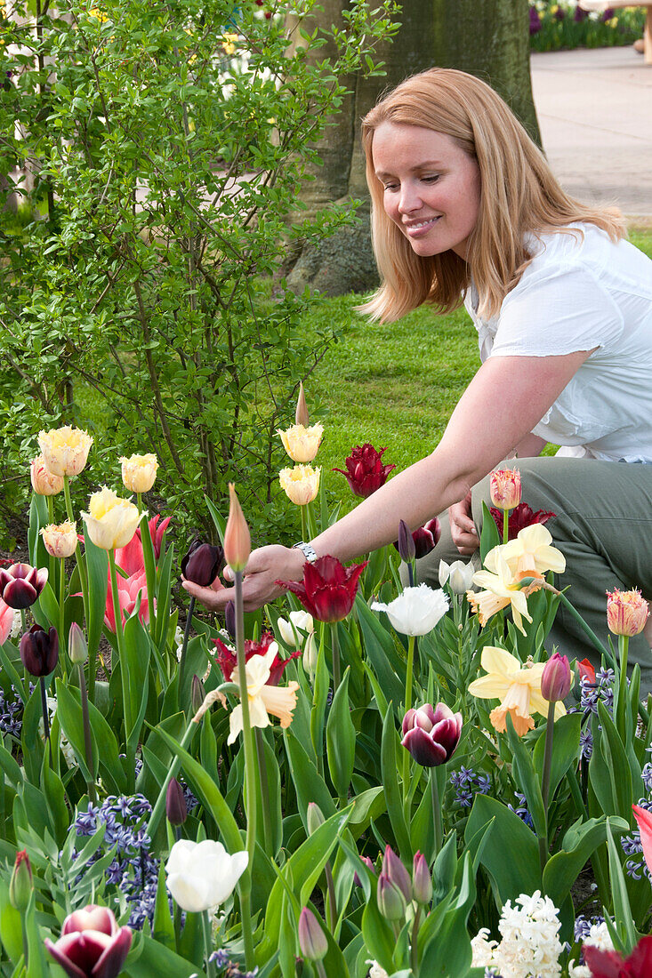 Woman touching tulips