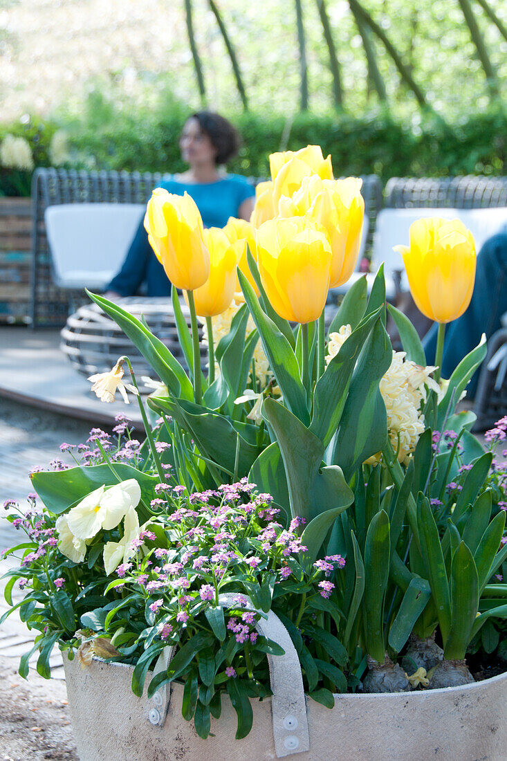 Spring container