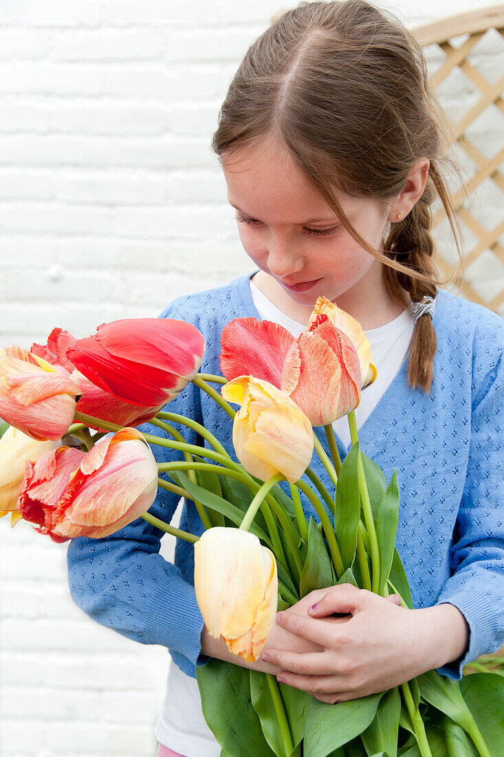 Mädchen hält Tulipa Fringed Rhapsody