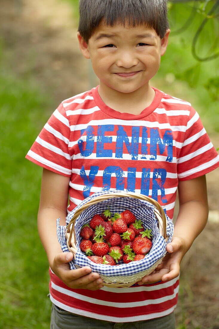 Picking strawberries