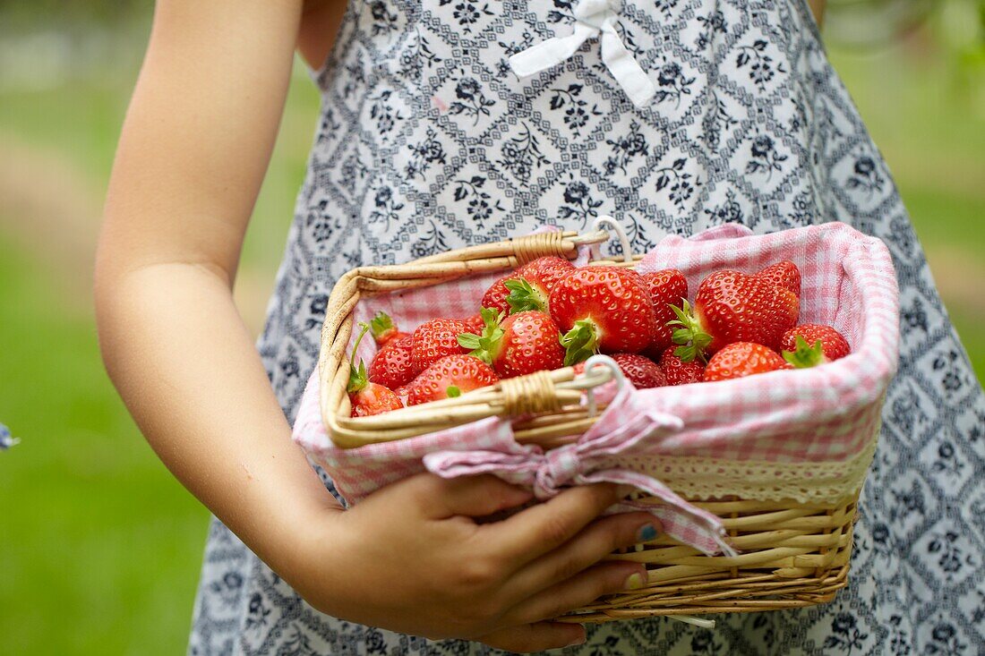 Picking strawberries