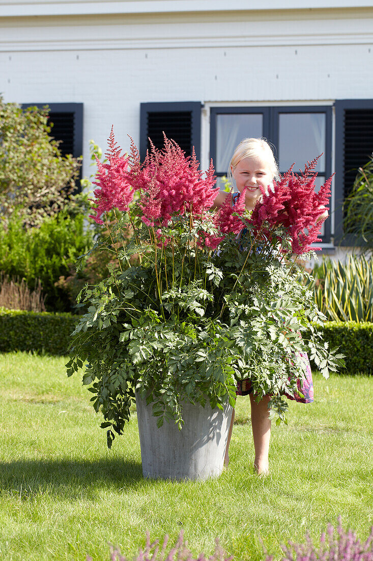 Astilbe Mighty Red Quin