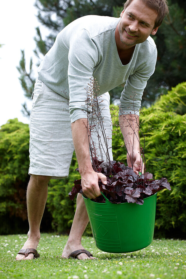 Man holding heuchera