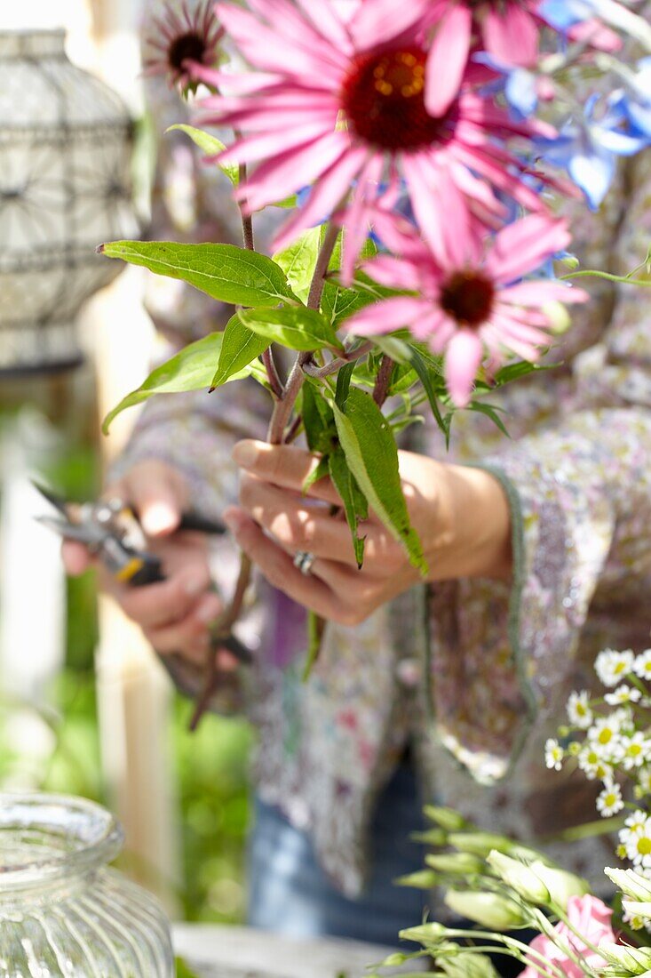 Making summer bouquet