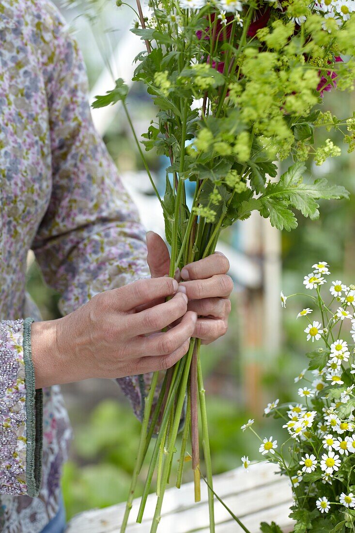 Making summer bouquet