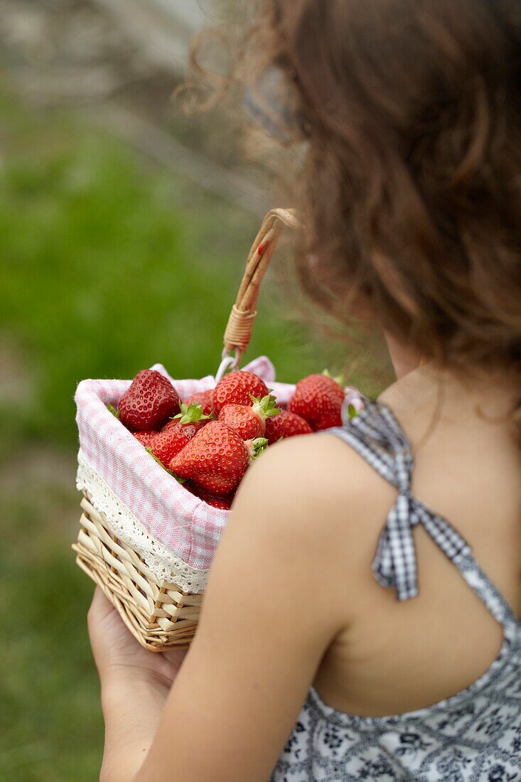 Picking strawberries