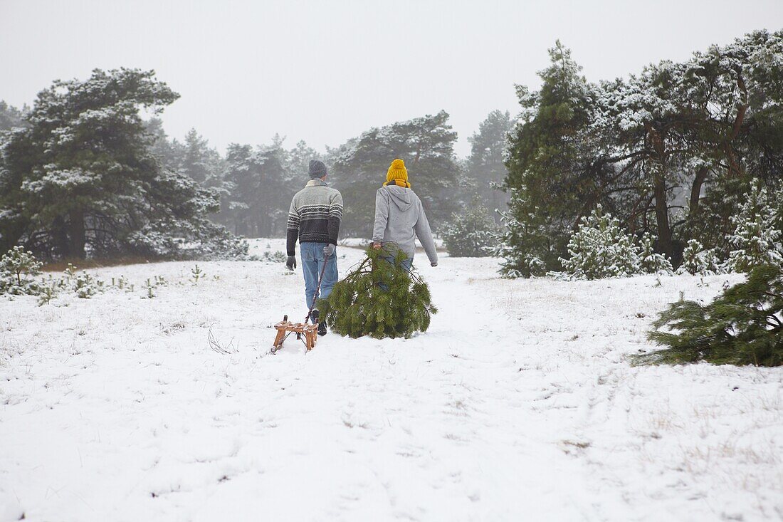 Couple with christmas tree