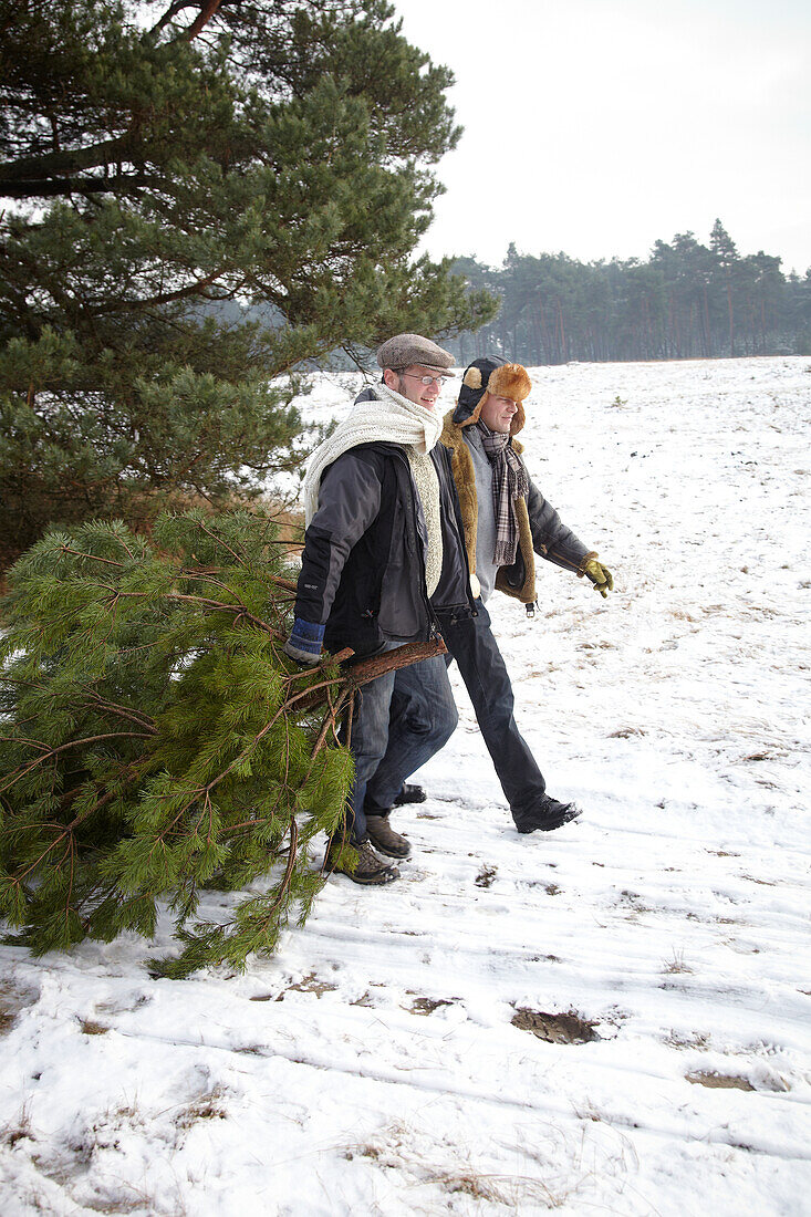 Men with christmas trees