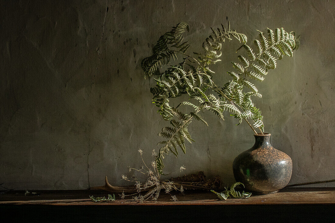 Adlerfarn (Pteridium aquilinum) in brauner Vase auf einem Sims, Stillleben