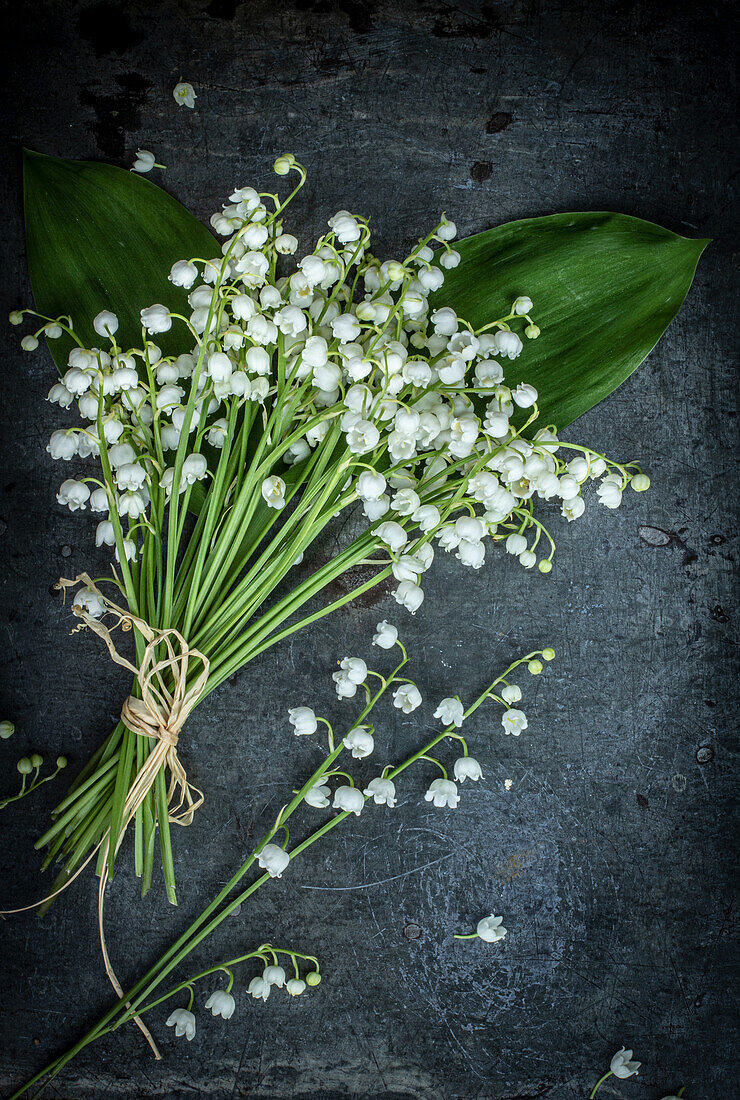 Bouquet of lily of the valley (Convallaria majalis)