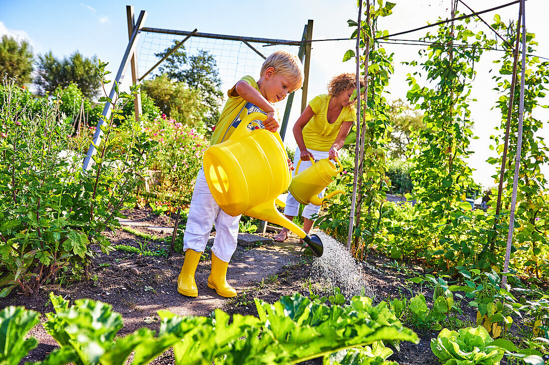 Junge und Mutter gießen Gemüsebeete