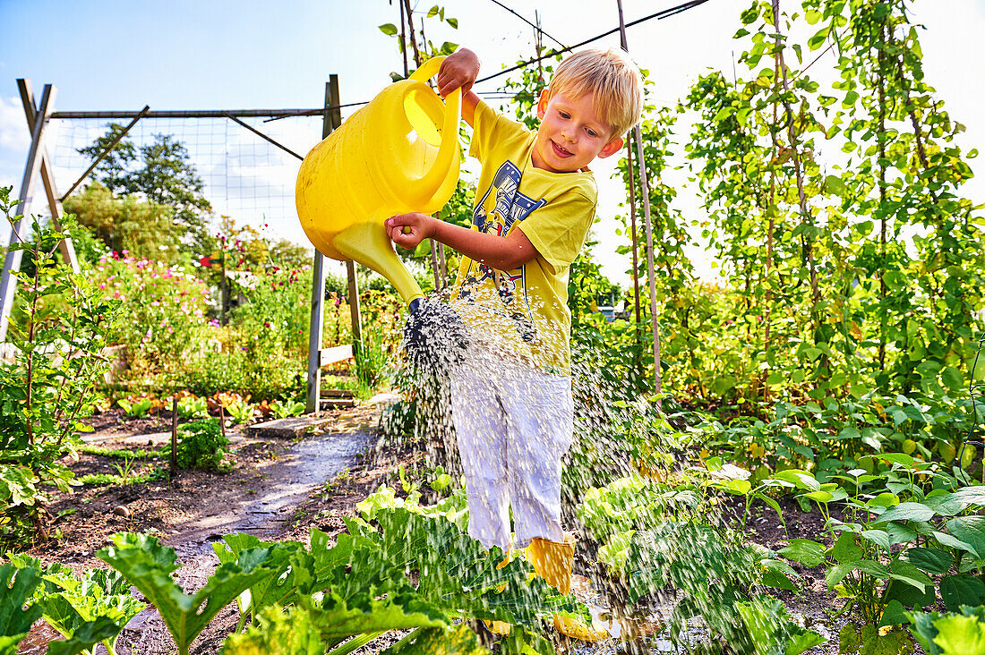 Boy watering vegetable patches