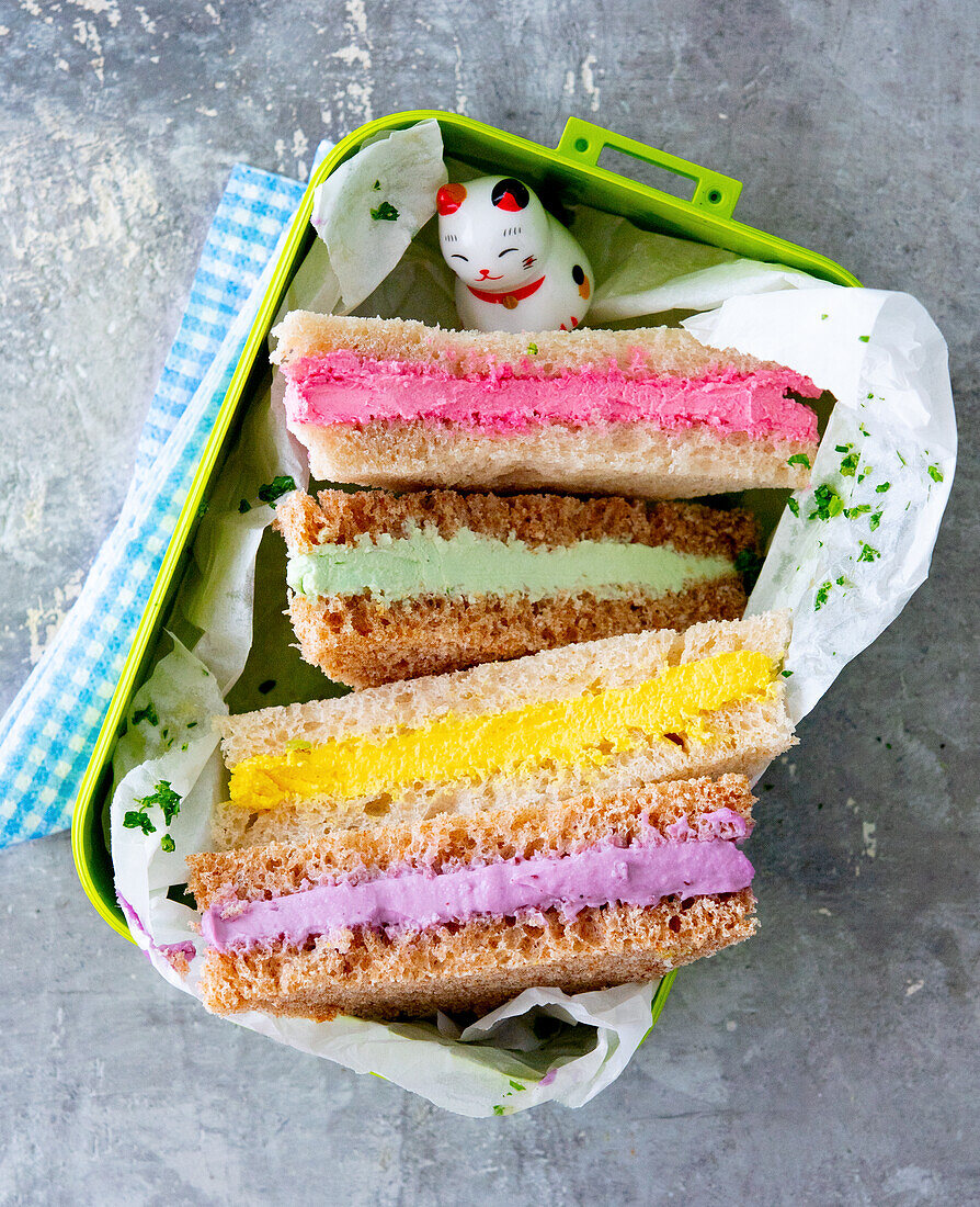 Four different colourful sandwiches for children