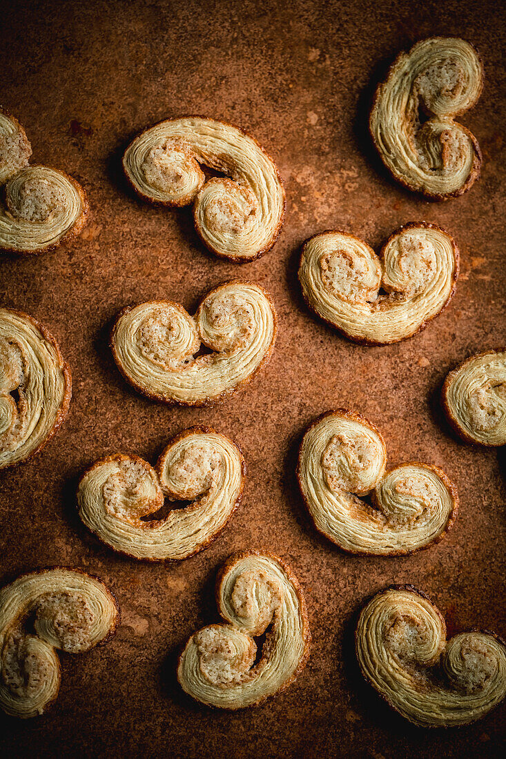 Palmiers on a brown background