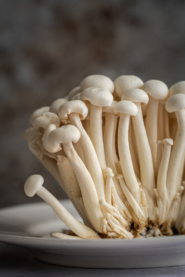 Macro of shimeji mushrooms