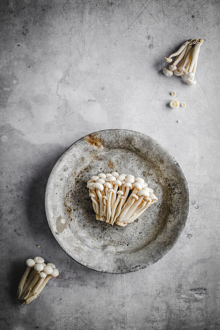 Shimeji mushrooms