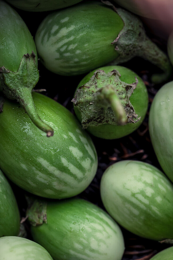 Grüne Auberginen (Thai-Auberginen) in Korb