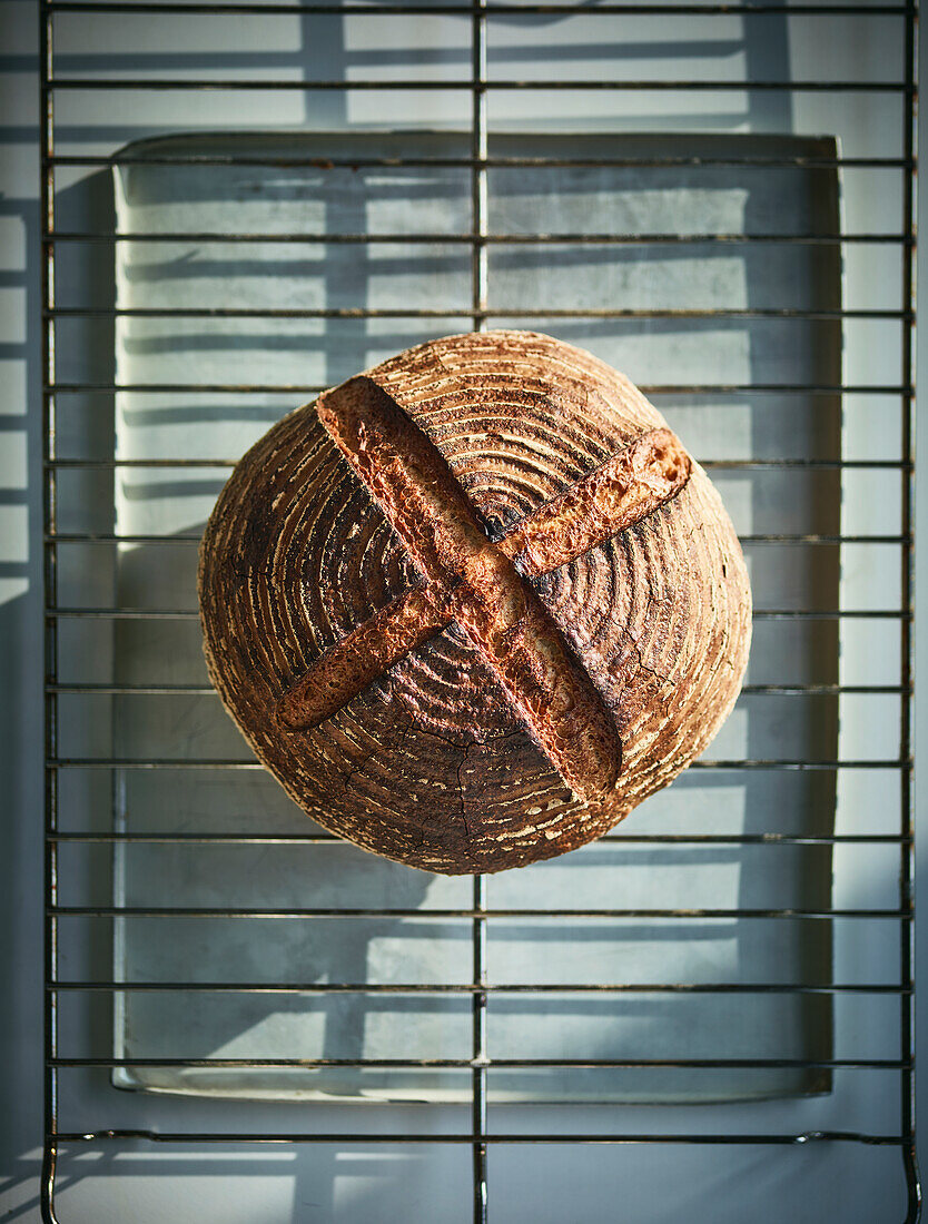 Durum wheat bread