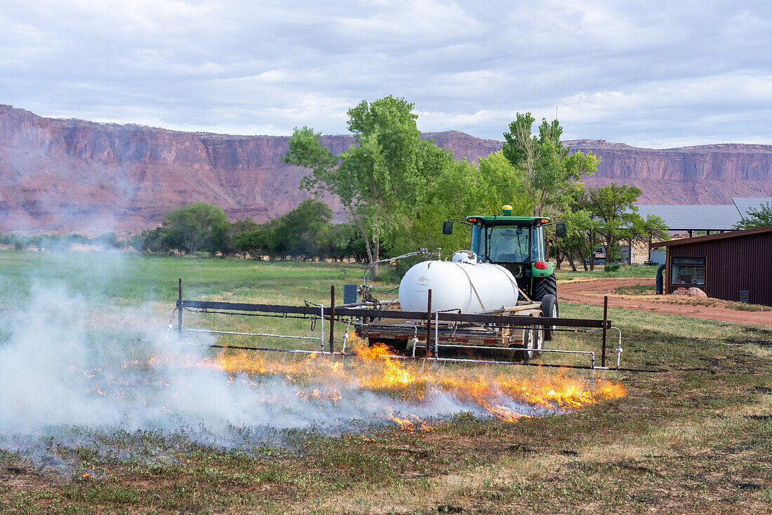 Tractor pulling propane burner in hay field