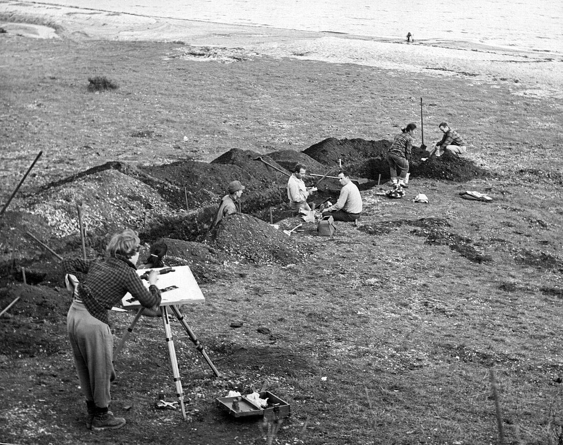 Archaeologists working on site, Tomales Bay, California, USA