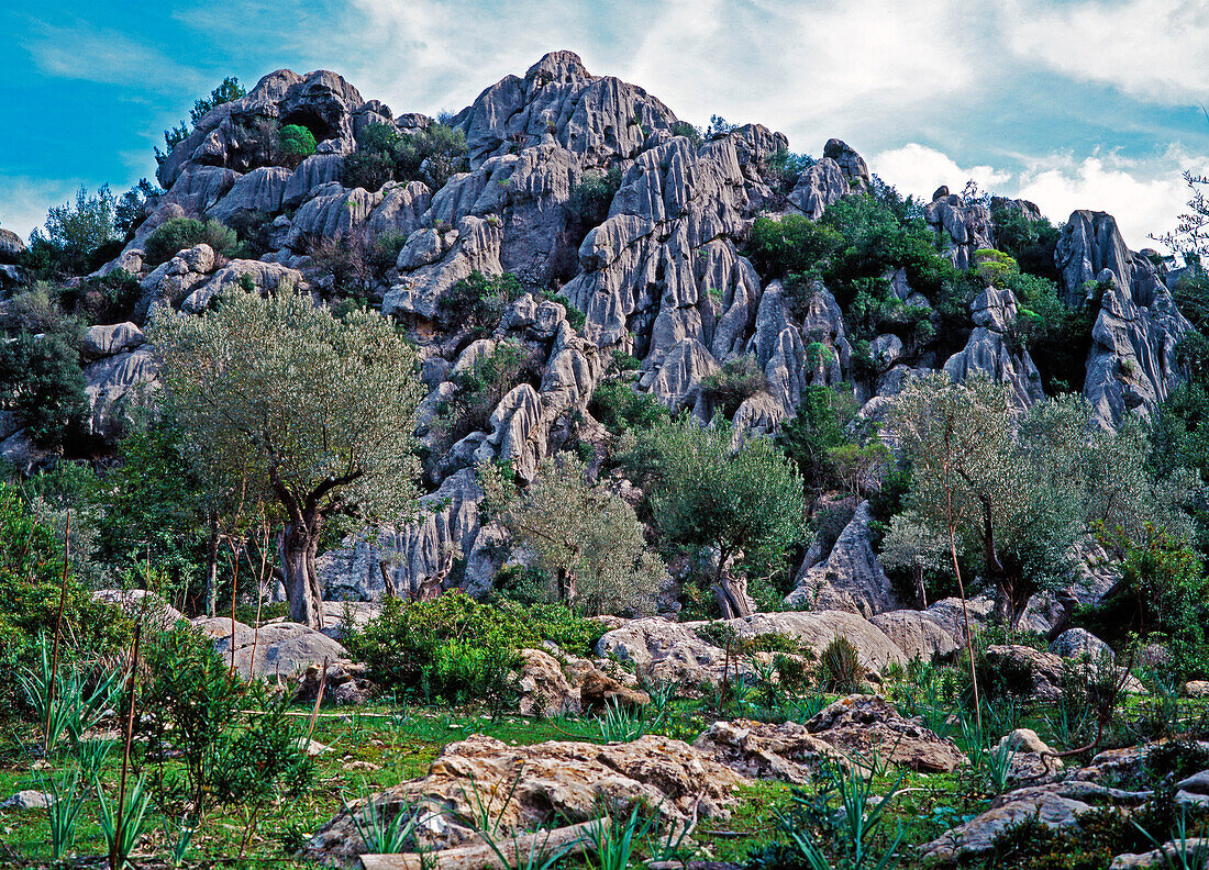 Karst landscape, Mallorca, Spain