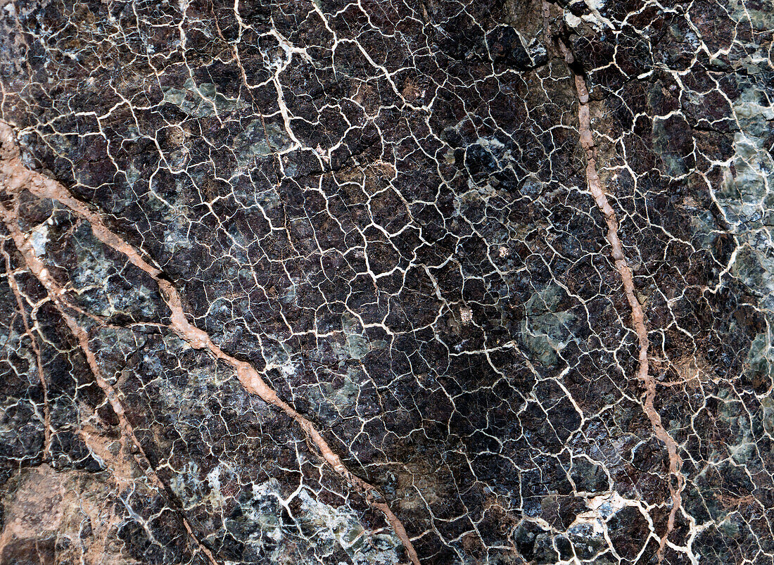 Polygonal veins in rock
