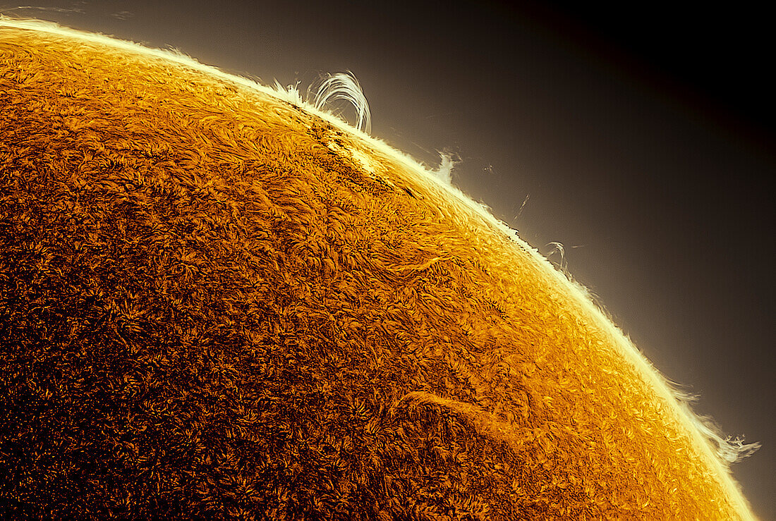 Arching solar prominence