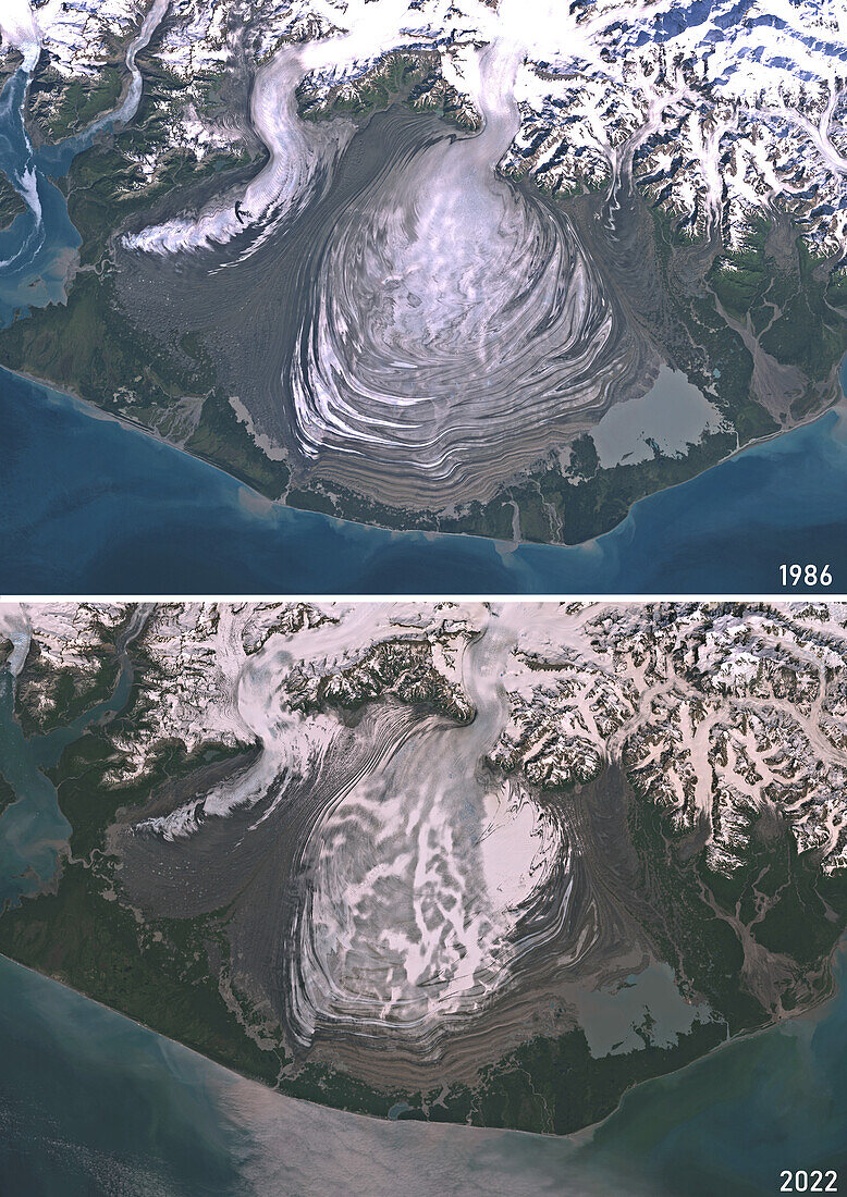 Malaspina Glacier, Alaska, USA, 1986 and 2022, satellite image