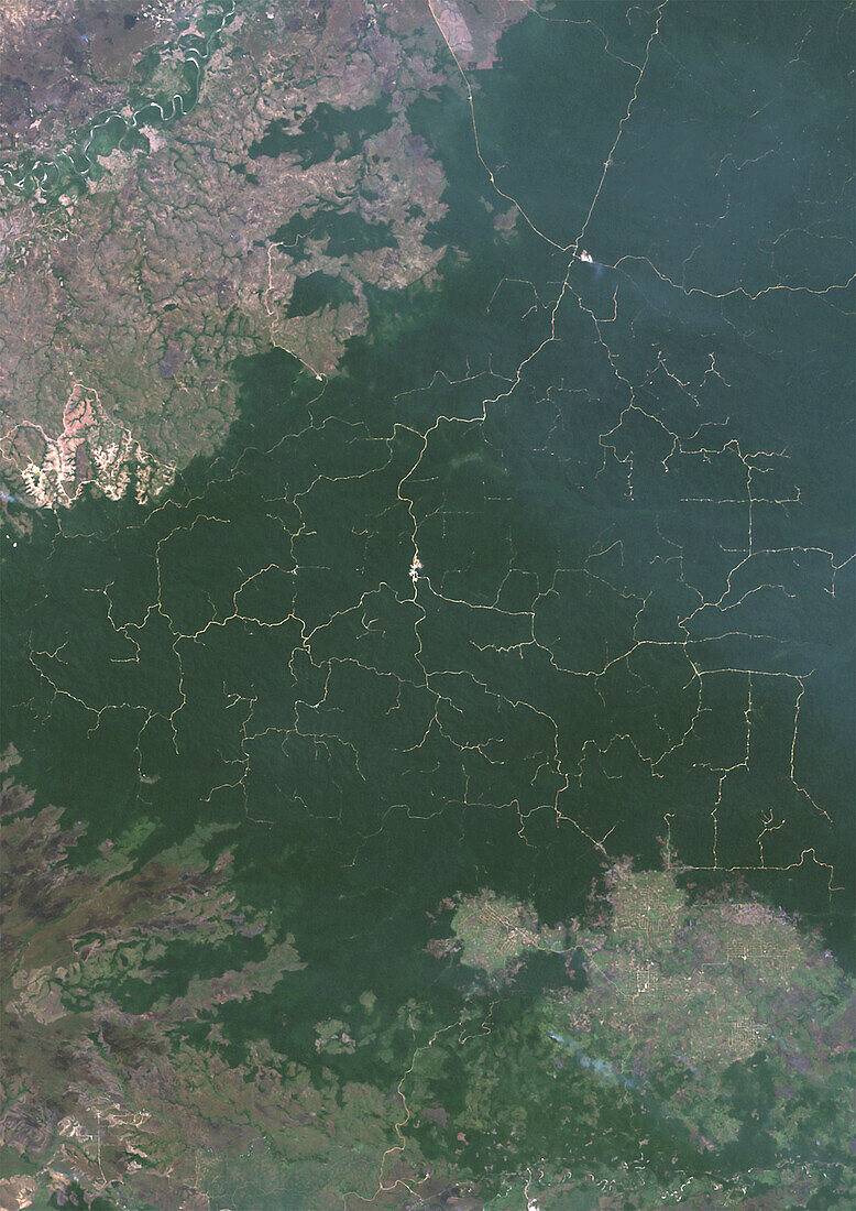 Oil palm plantation, North Sumatra in 1989, satellite image