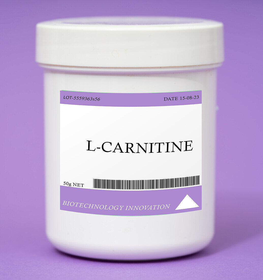 Container of L-carnitine