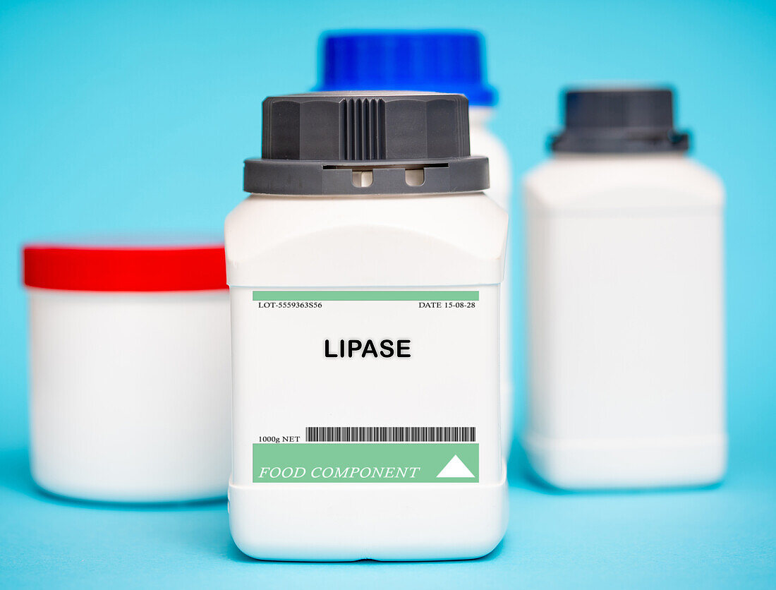 Container of lipase
