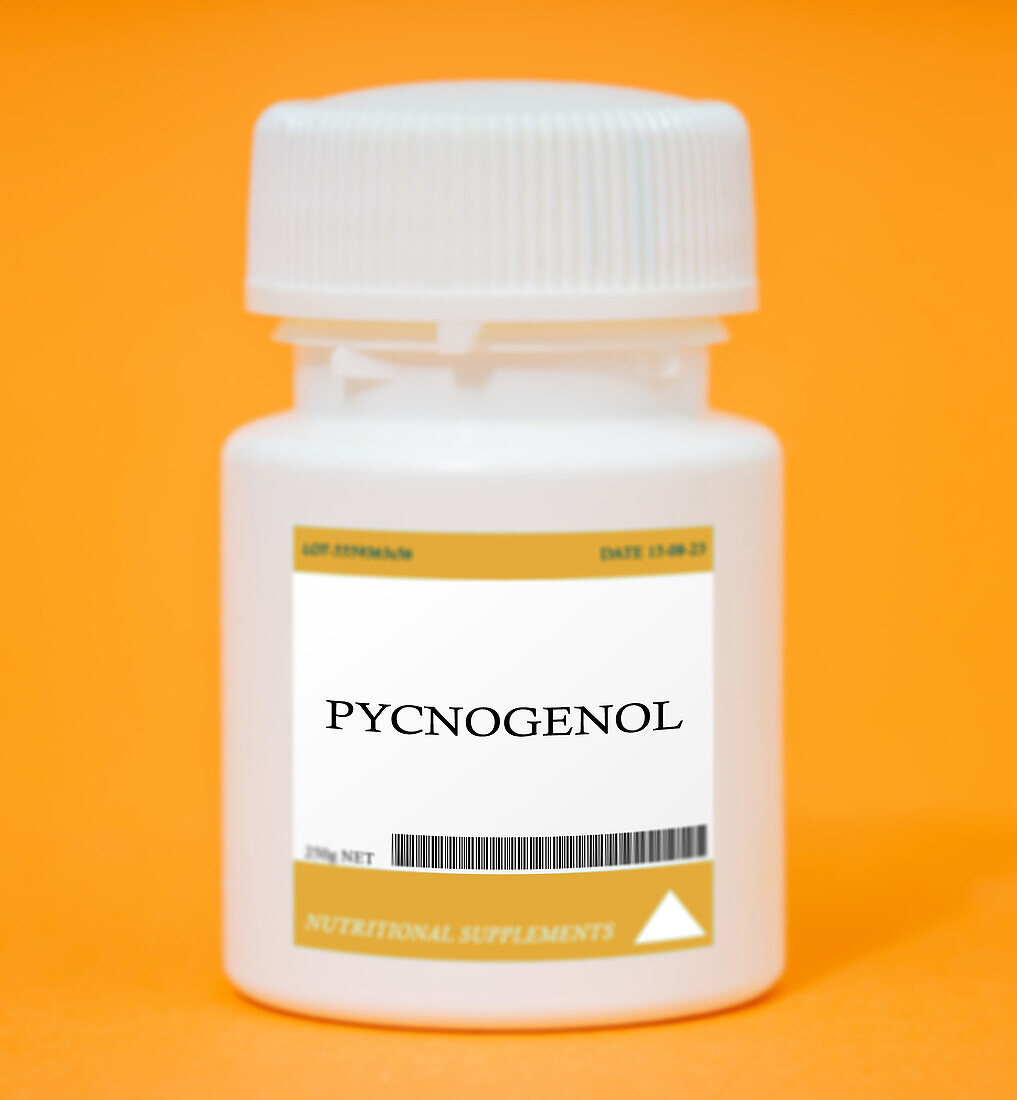 Container of pycnogenol