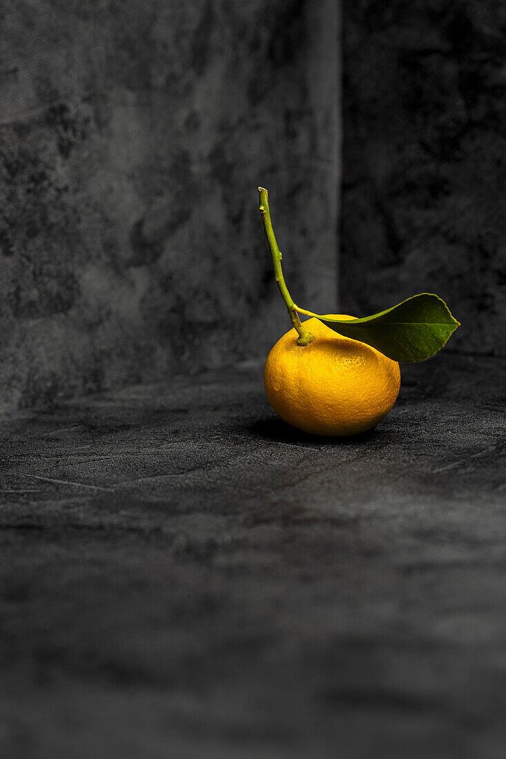 Lemon with leaf on a grey-black mottled background
