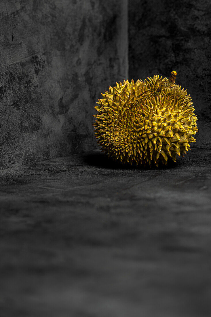 Durian aus grau-schwarz meliertem Hintergrund