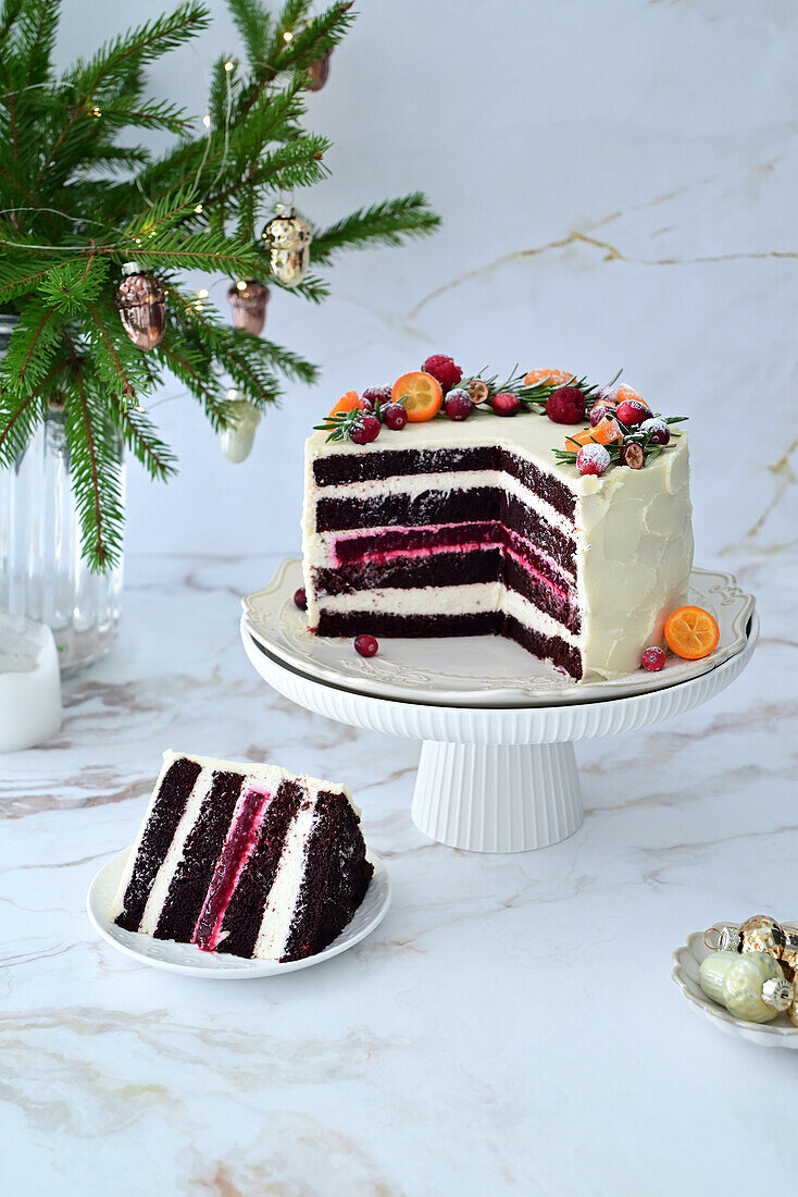 Chocolate cranberry cream cake