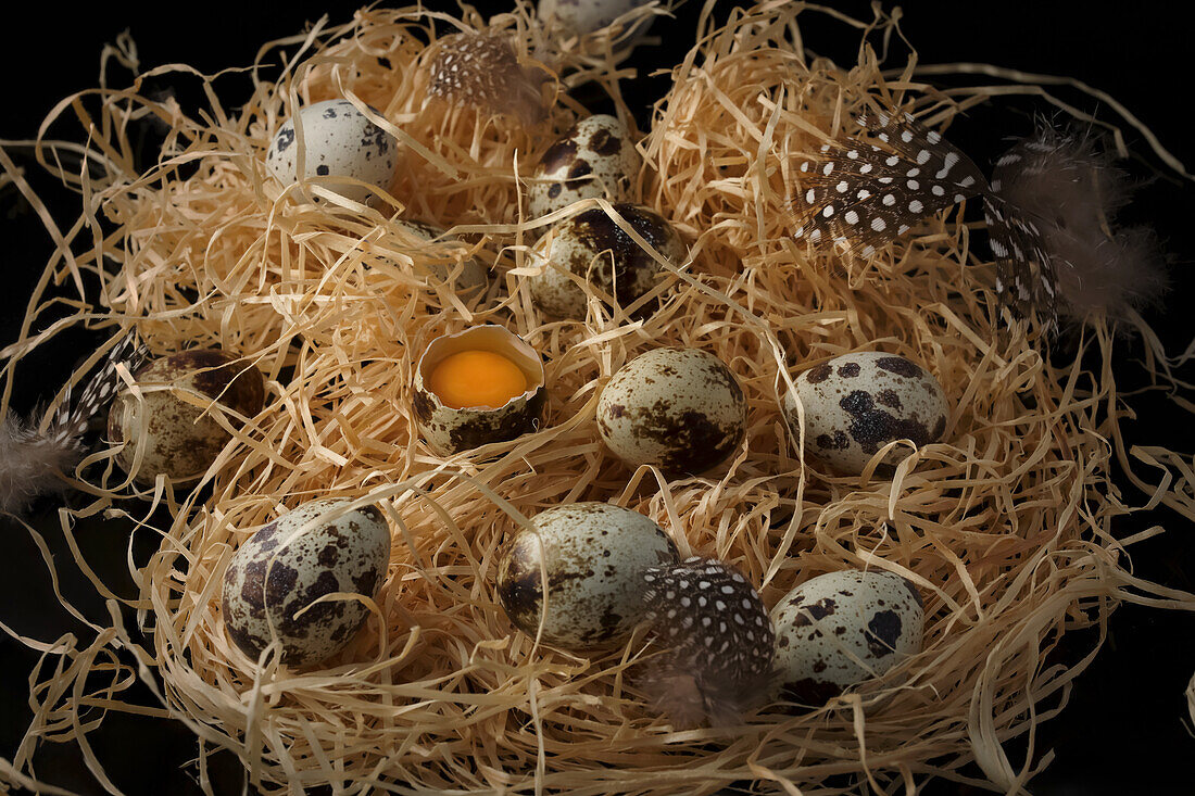 Quail eggs on a bed of straw