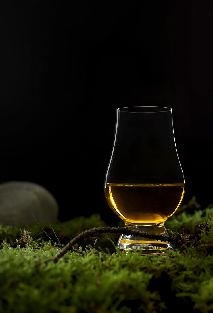Traditional Scottish Glencairn whisky glass on moss