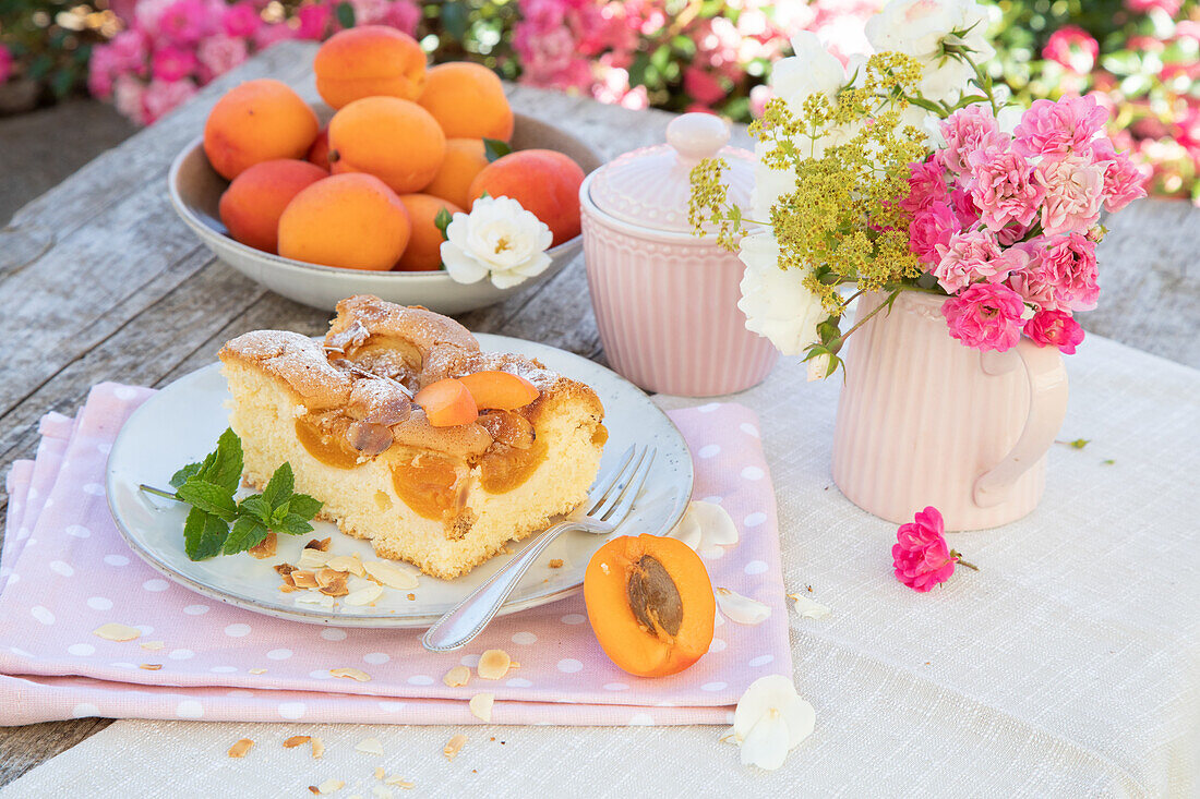 Austrian apricot cake